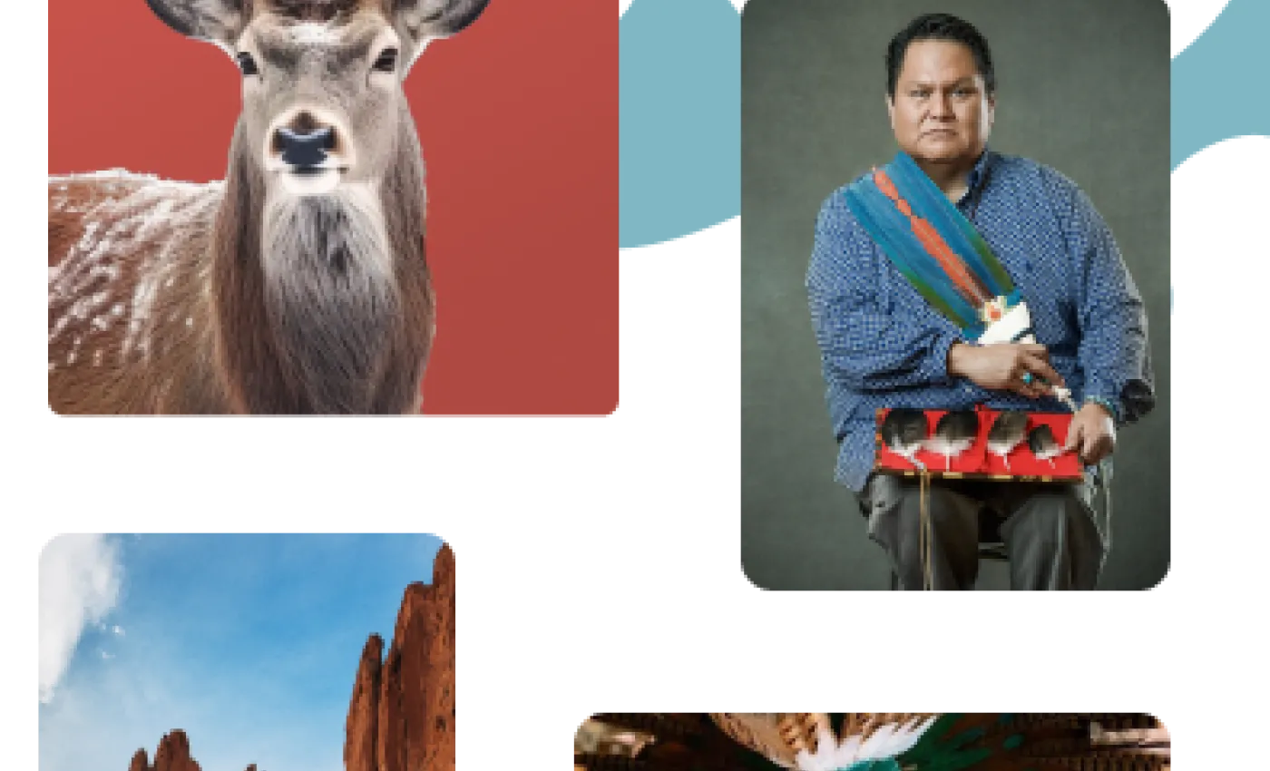 Mobile banner